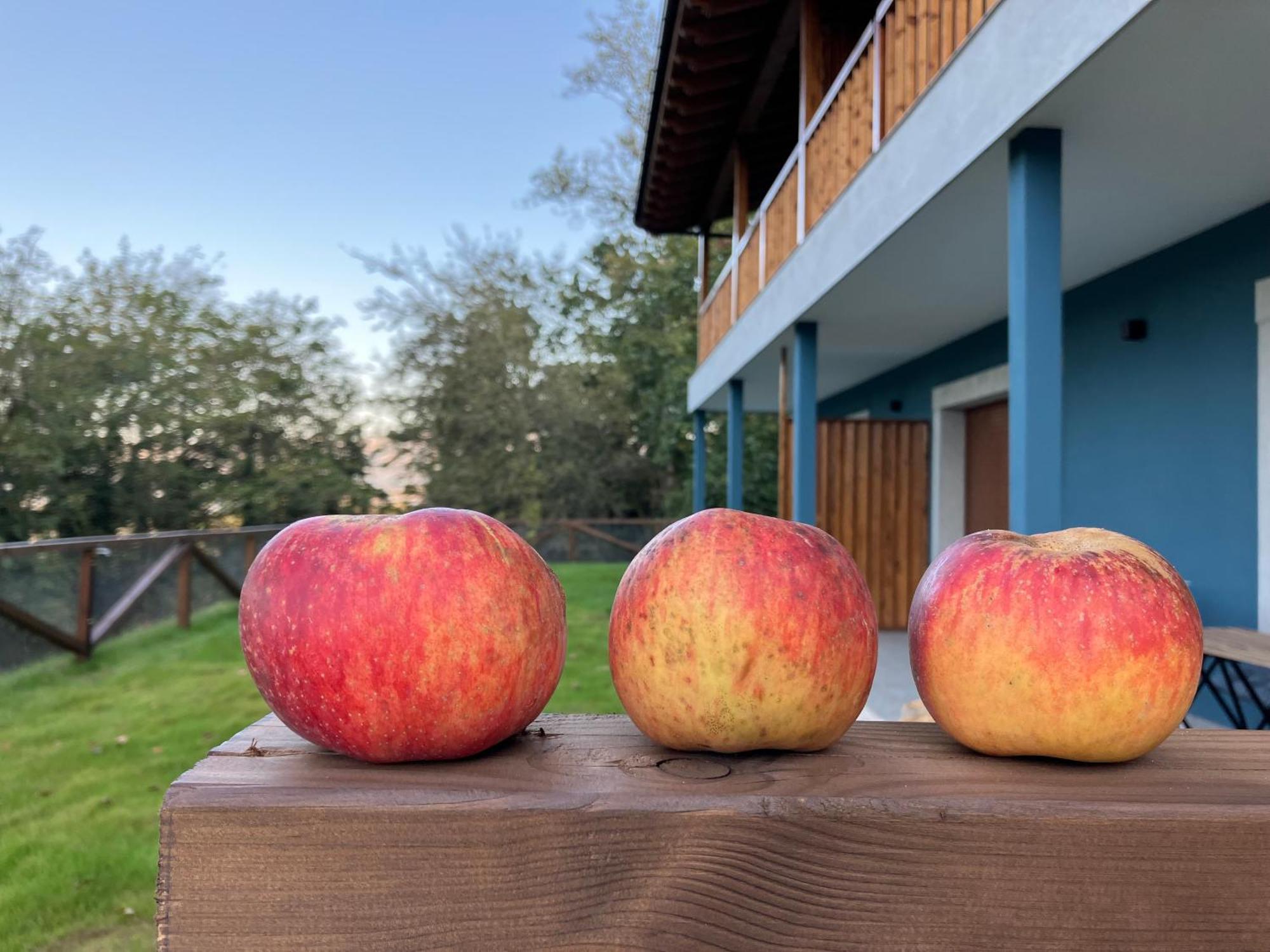 Apartamentos Montes Vindios Onís Exteriör bild